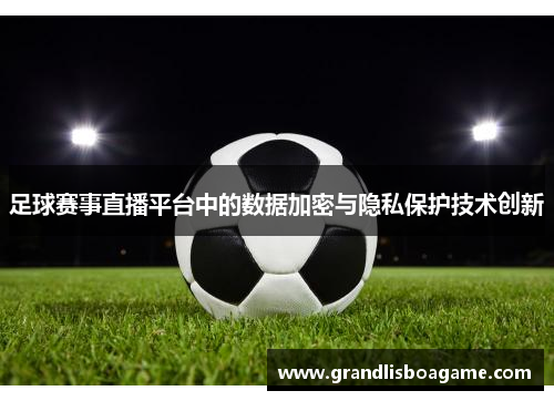 足球赛事直播平台中的数据加密与隐私保护技术创新